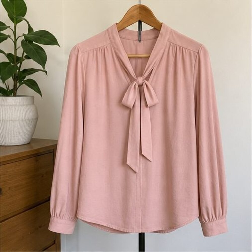 Blush V Neck Top